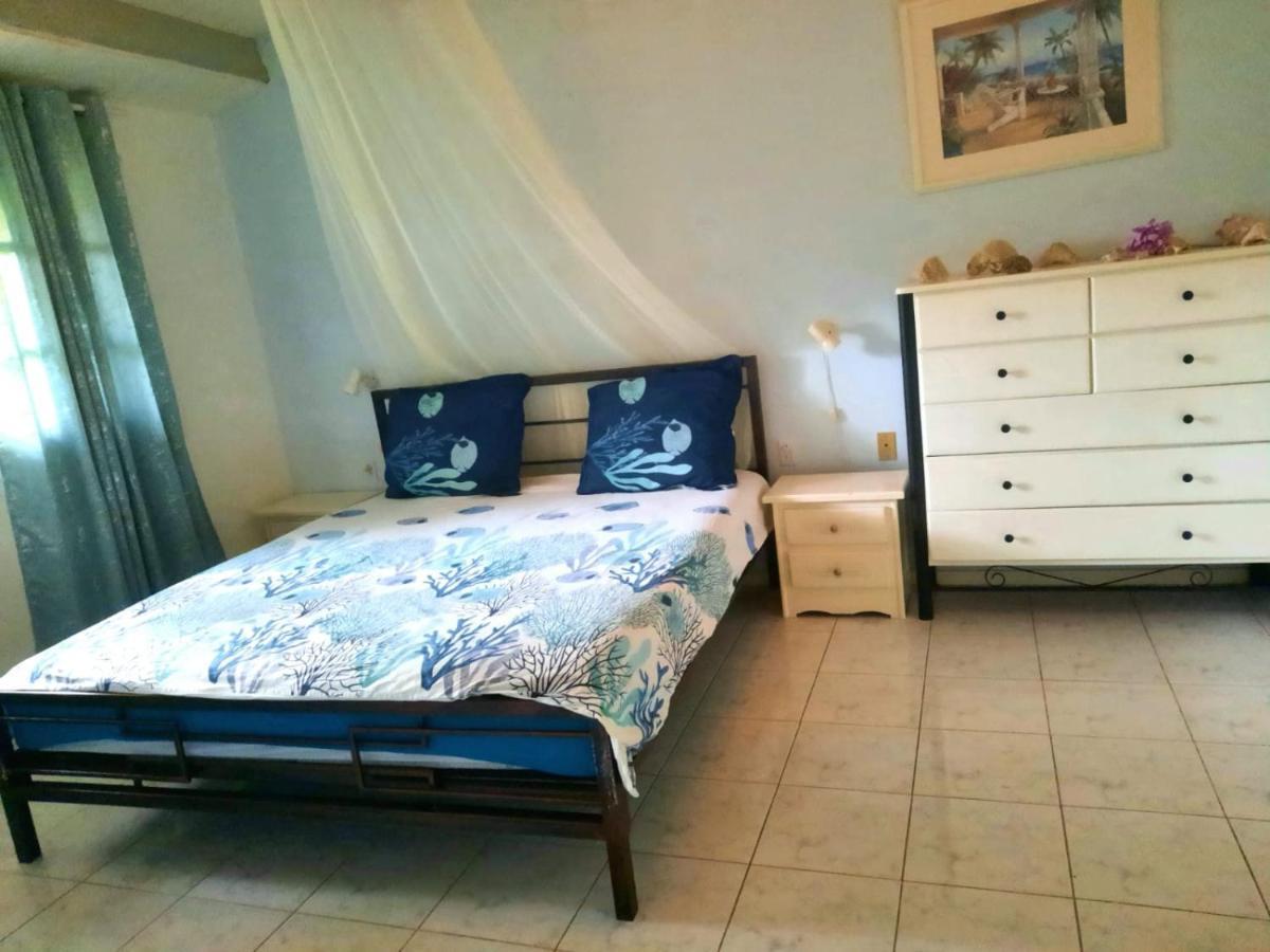 Seru Coral Apartment 威廉斯塔德 外观 照片